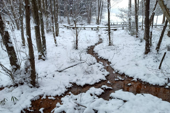 �V�_�̗���i�F